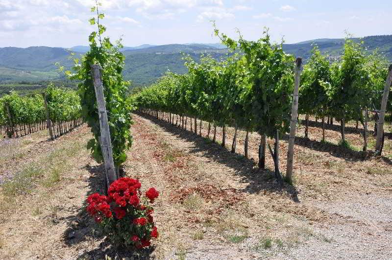 Borgo Castelvecchi Residenza Depoca Hotel Radda in Chianti Buitenkant foto